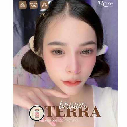 🔥คอนแทคเลนส์ Hydrogel✨ขนาดบิ๊กอาย ใหญ่มาก✨ Terra ✨Rozelens ✨ Brown/Gray