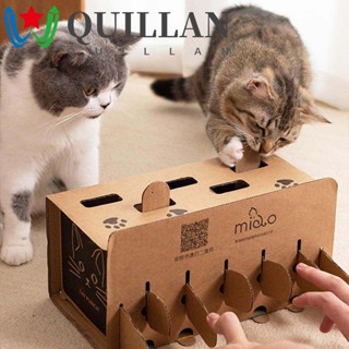 Quillan ที่ฝนเล็บ ของเล่น สําหรับสัตว์เลี้ยง แมว