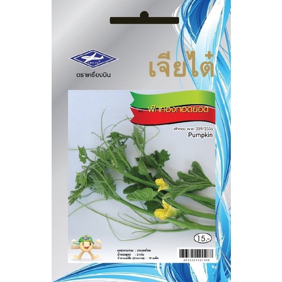 ฟักทองทอดยอด CT/OP-044 เจียไต๋ ฟักทอง เมล็ดพันธุ์ผัก เมล็ดผัก เมล็ดพืช ผักสวนครัว ประมาณ 18 เมล็ด