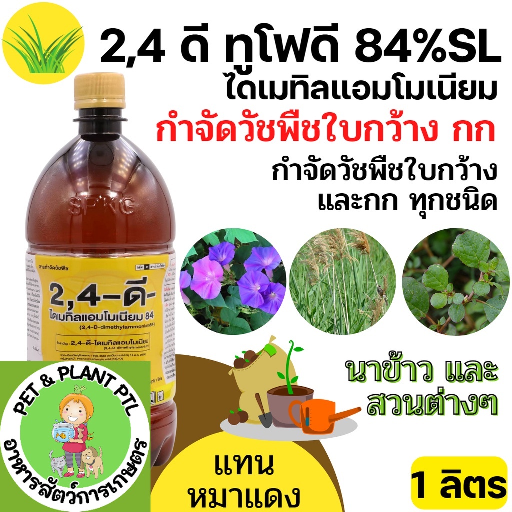 [500cc,1ลิตร] 2,4-ดี 24d ทูโฟดี กำจัดวัชพืชใบกว้าง ยาฆ่าหญ้า ผักบุ้ง แห้วหมู กก หญ้าใบกว้าง หญ้ายาง 