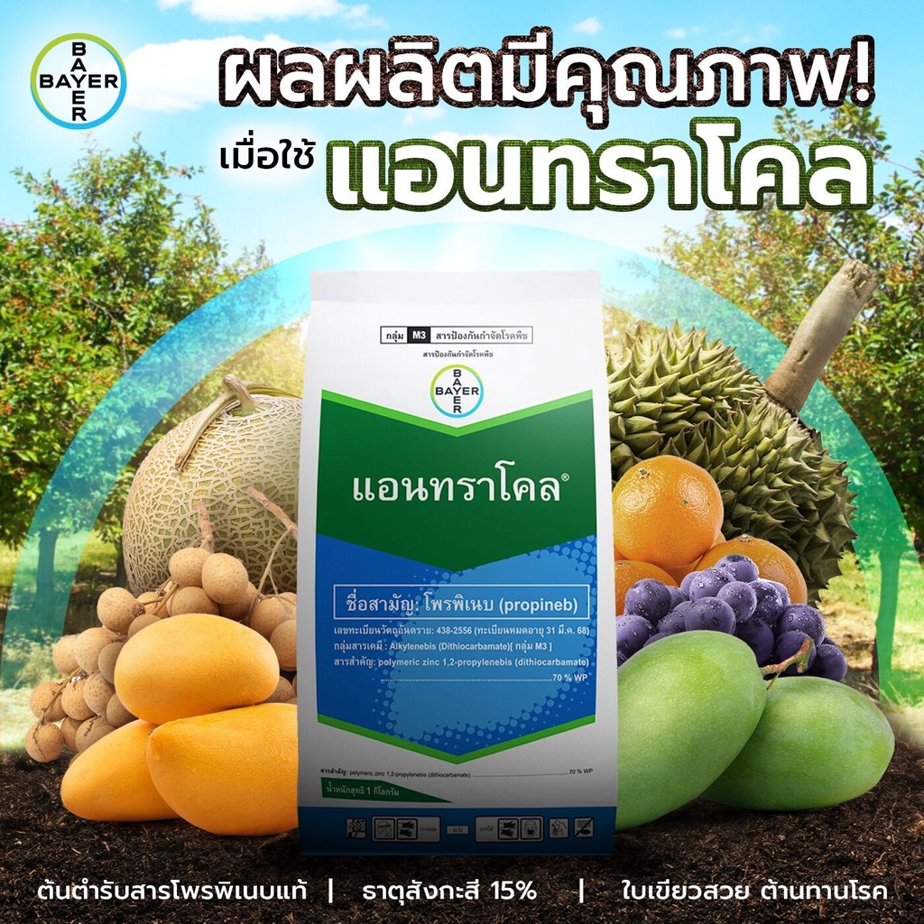 แอนทราโคล (โพรพิเนบ 70% WP) ขนาด 500g กำจัดเชื้อรา ป้องกันโรคใบจุดสีน้ำตาล โรคแอนแทรคโนส