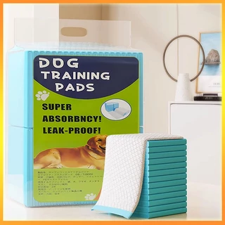 Dog Training Pads แผ่นรองฉี่สุนัขและแมว เนื้อเนียน ซึมซับไว ไม่รั่วซึม หนาขึ้น 1.2 กก