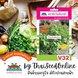 ADV ซฟ เมล็ดพันธุ์ กะเพรา ทองหล่อ ตราตะวันต้นกล้า V32