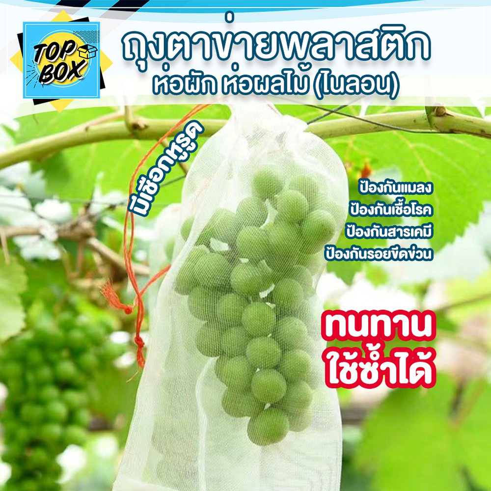 ถุงตาข่ายห่อผลไม้ ถุงตาข่ายไนลอน มีเชือกหูรูด เเพ็ค 1 ใบ/10 ใบ