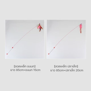ไม้แมว ยาวสุด ไม่ล่อแมว ไม้ตกแมว ของเล่นแมว ของเล่น สำหรับแมว สำหรับสัตว์เลี้ยง Cat Toys