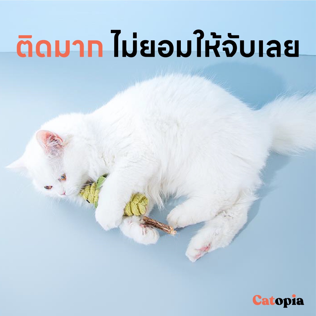 [  พร้อมส่ง] ตุ๊กตาหนูมาทาทาบิ สอดไส้หญ้าแมว ของเล่นแมว ไม้ขัดฟัน ตุ๊กตาหนู ล่อแมว แมวขบ Catnip Selected By Catopia