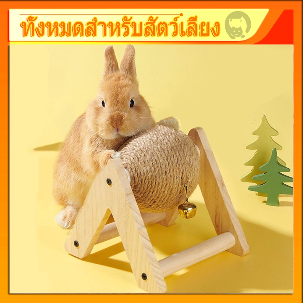 กระต่ายของเล่น | ของเล่นกัดกระต่าย - แผ่นขัด ทนต่อการสึกหรอ ทนต่อการกัด ดีต่อสุขภาพสัตว์เลี้ยงสำหรับชินชิลล่า