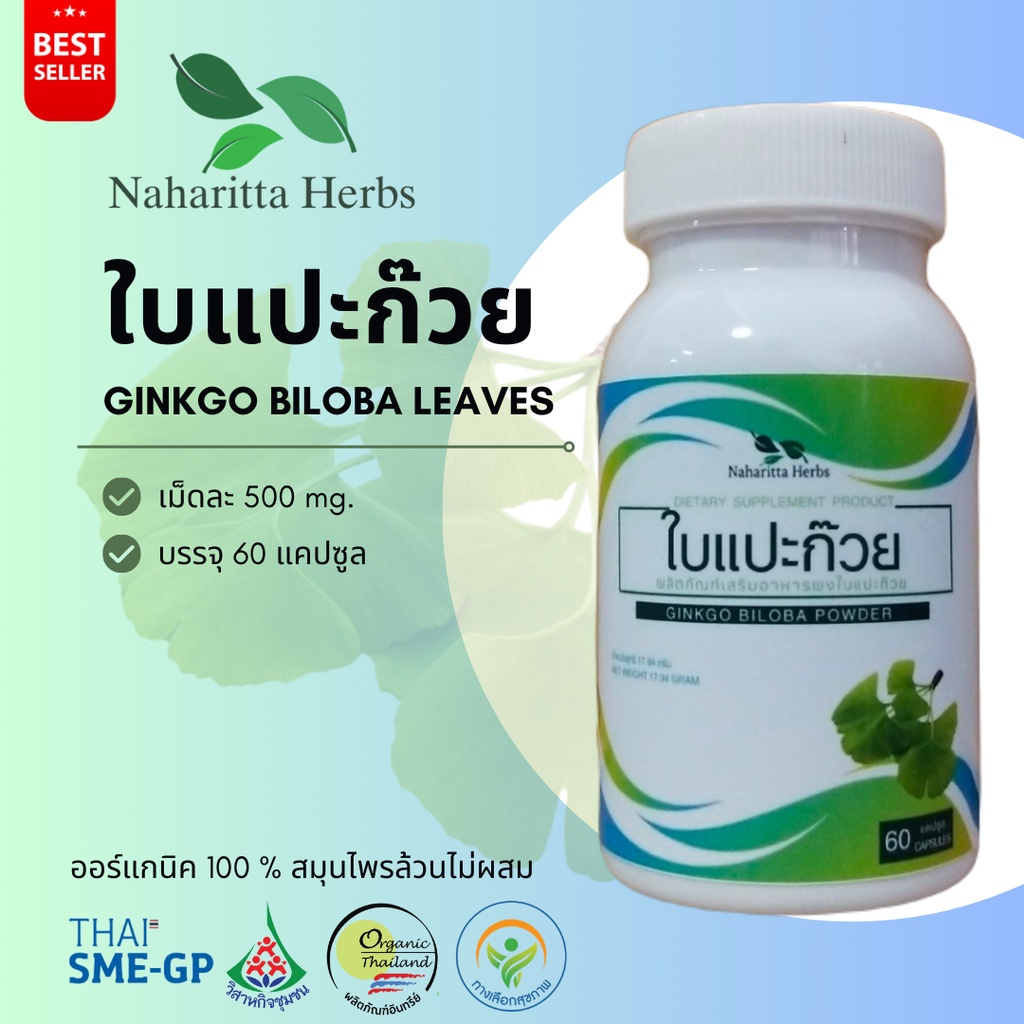 ใบแปะก๊วย Ginkgo biloba leaves 100% 60cap.