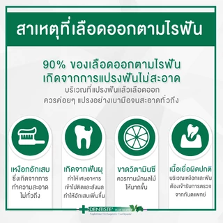 Dentiste Italy Toothbrush Pack 3 PCS แปรงสีฟันขนนุ่มสุดซอฟ ดีไซน์เรียบง่าย ออกแบบมาให้ขจัดคราบพลัค คละสี