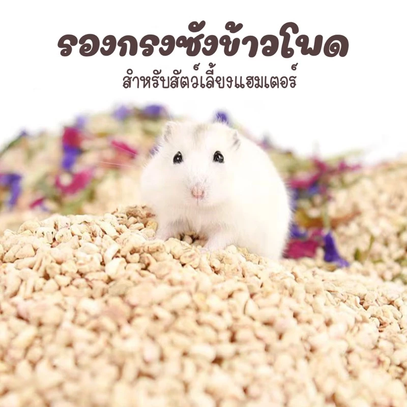 รองกรงซังข้าวโพดและเปลือกวอลนัท สำหรับแฮมสเตอร์ thumbnail 8
