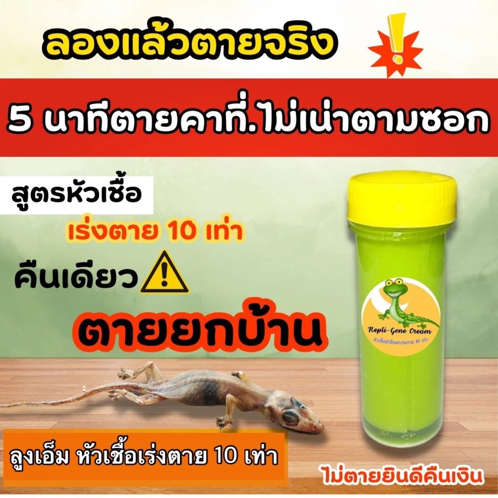 หัวเชื้อกำจัดจิ้งจกเร่งตาย 10 เท่า แบบครีม ใช้กำจัดจิ้งจก ตุ๊กแก ฆ่าจิ้งจก ไล่จิ้งจกและเเมลงต่างๆ #ลุงเอ็ม