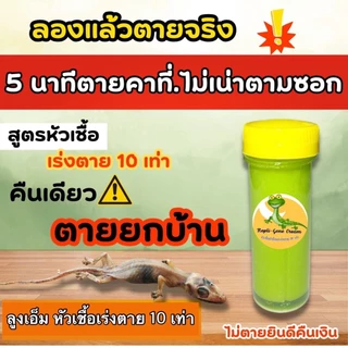 หัวเชื้อกำจัดจิ้งจกเร่งตาย 10 เท่า แบบครีม ใช้กำจัดจิ้งจก ตุ๊กแก ฆ่าจิ้งจก ไล่จิ้งจกและเเมลงต่างๆ #ลุงเอ็ม
