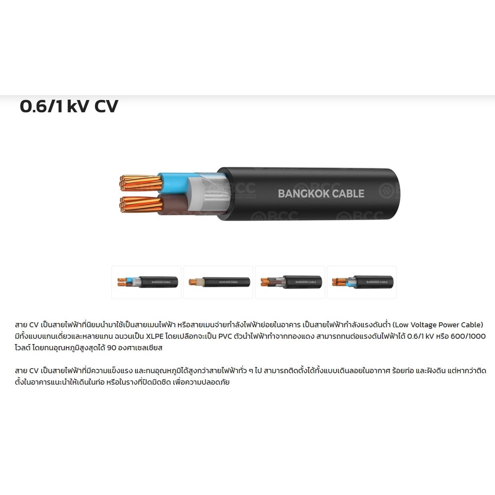 BCC สายไฟ CV 2x2.5 SQ.MM. 100ม. สีดำ