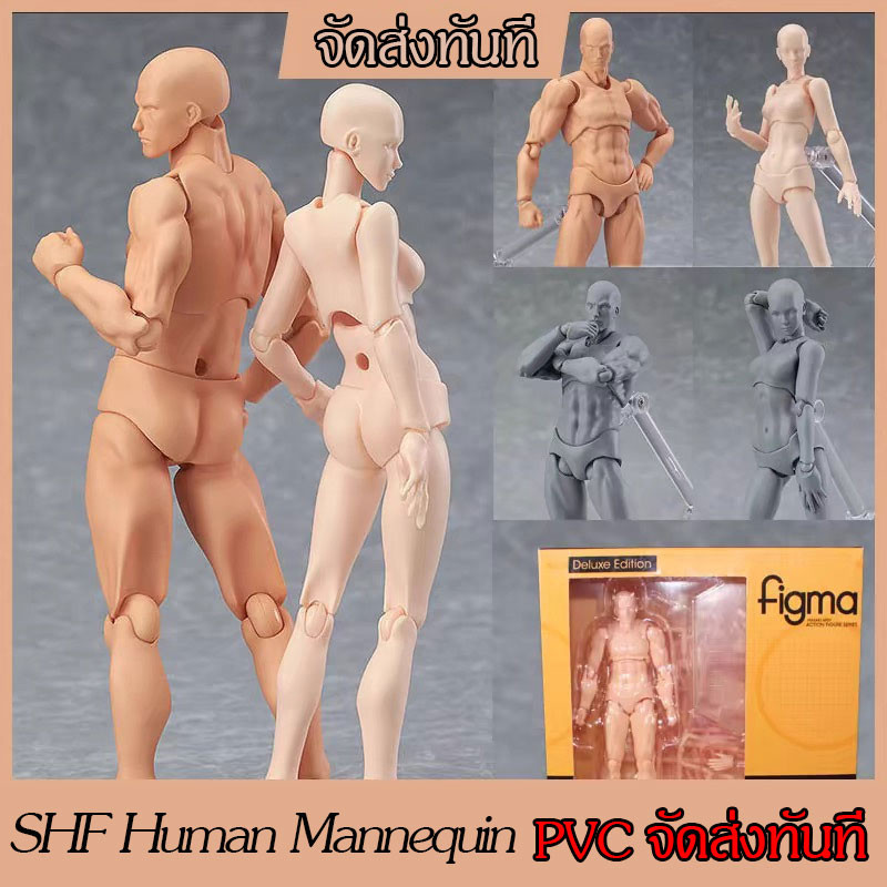 จัดส่งทันที SHF Human Mannequin ฟิกเกอร์ หุ่นโมเดล ชาย หญิง หุ่นฟิกเกอร์มนุษย์ ขยับได้ สําหรับศิลปิน