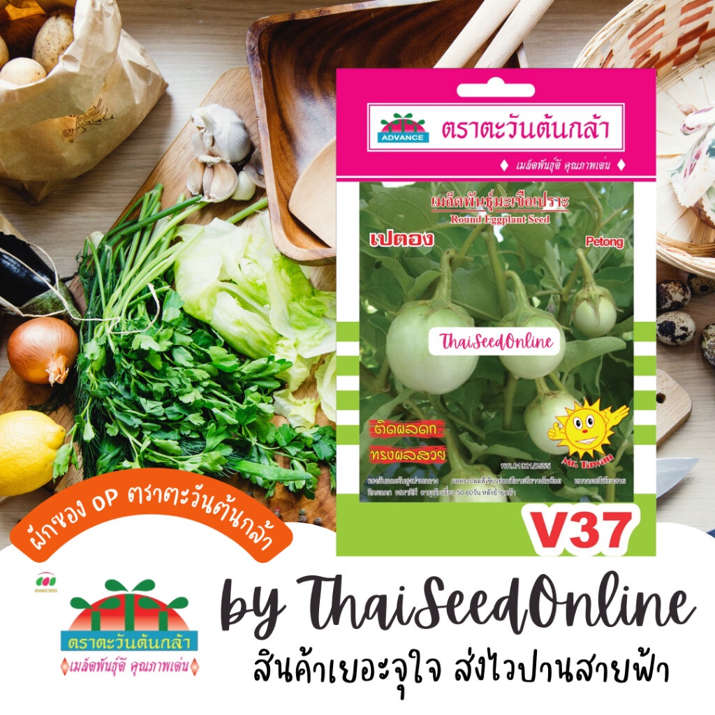 Advance Seeds(ตราตะวันต้นกล้า) ADVOP ซฟ เมล็ดพันธุ์ มะเขือเปราะ เปตอง ตราตะวันต้นกล้า V37