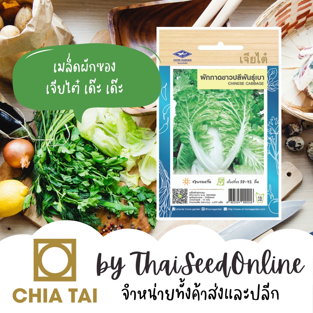 เจียไต๋ CTOP ผักกาดขาวปลีพันธุ์เบา ตราเจียไต๋ Chinese Cabbage