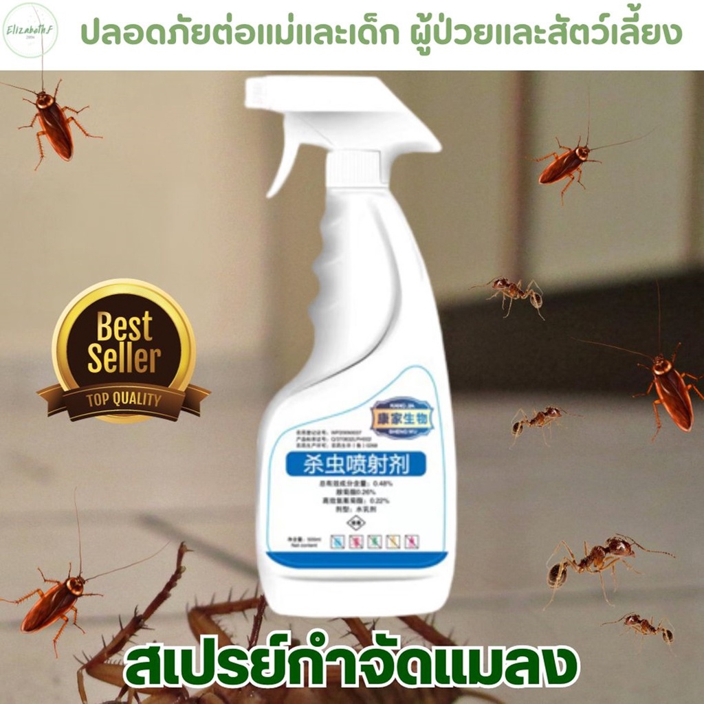 น้ำยากำจัดแมลงหนีบหางแหลม สเปรย์ฉีดกันมดในบ้าน ที่กำจัดด้วงก้นกระดก ส่งด่วน Eliminator Spray วิธีไล่แมลงหวี่
