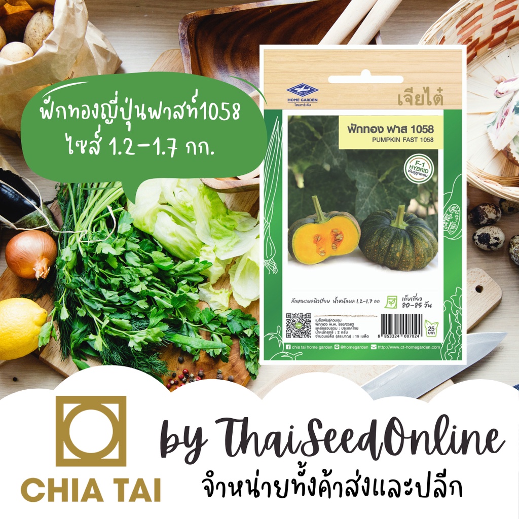 CTF1 เมล็ดพันธุ์ ฟักทองฟาสท์ 1058 ตราเจียไต๋ ฟักทองญี่ปุ่น Pumpkin
