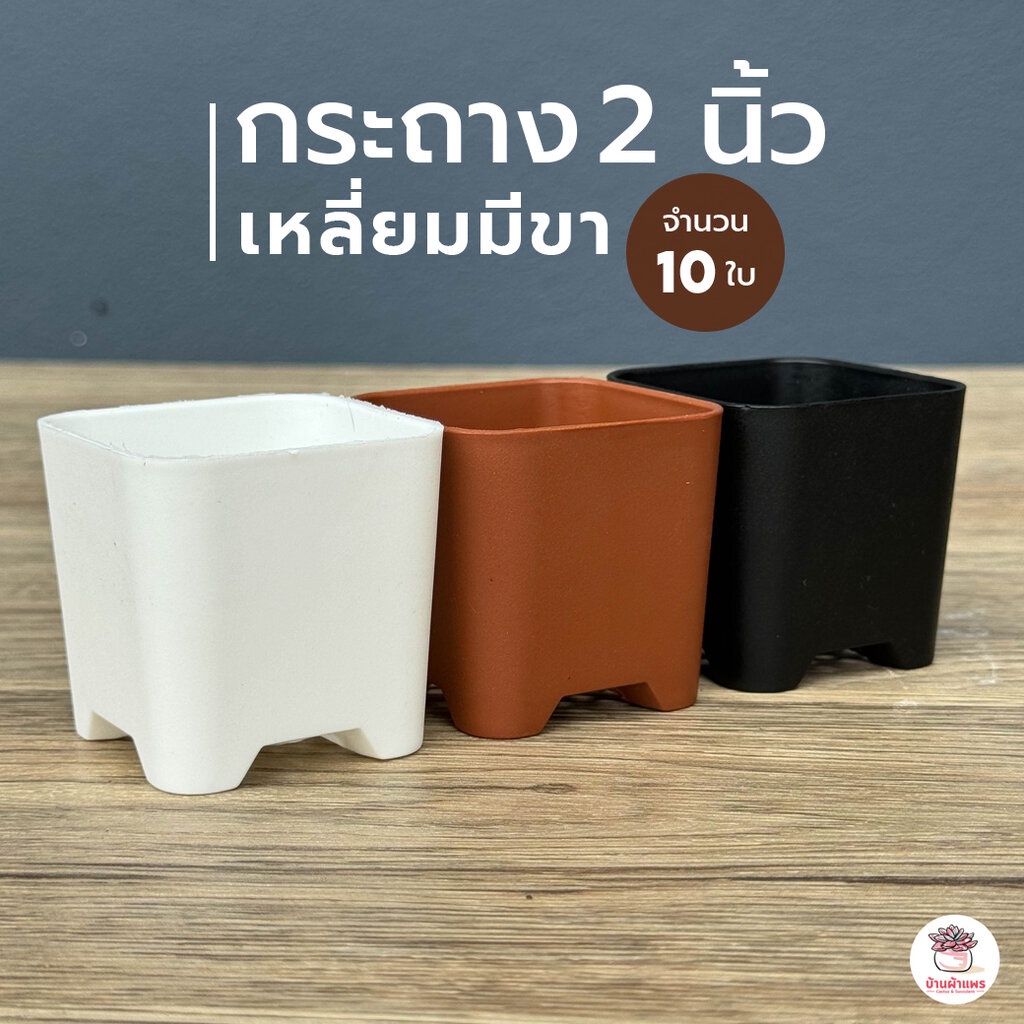 [ 10 ใบ ] กระถาง 2 นิ้ว [ เหลี่ยมมีขา ] กระถางพลาสติก แคคตัส กระบองเพชร ไม้อวบน้ำ Cactus&Succulent