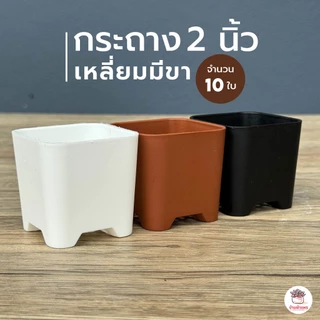 [ 10 ใบ ] กระถาง 2 นิ้ว [ เหลี่ยมมีขา ] กระถางพลาสติก แคคตัส กระบองเพชร ไม้อวบน้ำ Cactus&Succulent