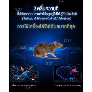 2 ชิ้น🔥 เครื่องไล่หนู RIOOEX QUAD ไล่หนู แมลงสาบ ไล่จิ้งจก ครอบคลุมพื้นที่ 150 ตรม. ด้วยเทคโนโลยีขั้นสูง ปลอดภัยไร้สาร