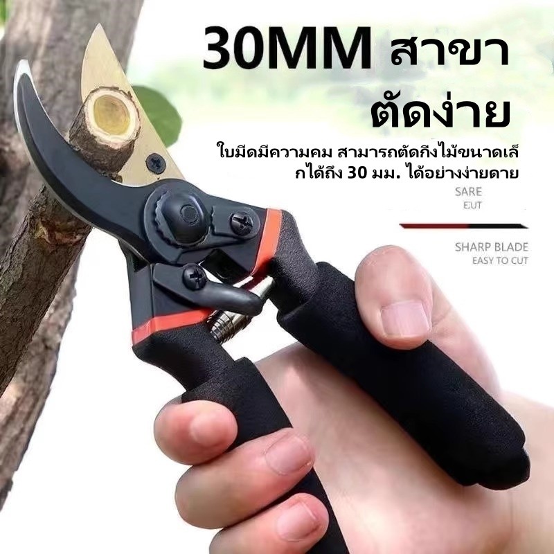 กรรไกรตัดกิ่งเหล็ก/กรรไกรตัดกิ่งต้นไม้ผลไม้/กรรไกรตัดกิ่งองุ่นและดอกไม้ในครัวเรือน/กรรไกรตัดกิ่งต้นไม้ผลไม้