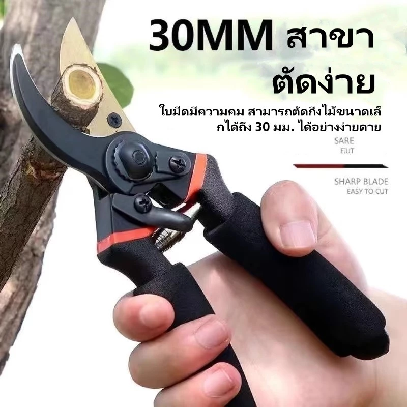 กรรไกรตัดกิ่งเหล็ก/กรรไกรตัดกิ่งต้นไม้ผลไม้/กรรไกรตัดกิ่งองุ่นและดอกไม้ในครัวเรือน/กรรไกรตัดกิ่งต้นไม้ผลไม้