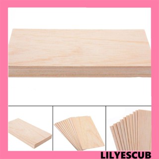 Lilyescub แผ่นบอร์ดไม้ ทรงสี่เหลี่ยมผืนผ้า DIY ของเล่นสําหรับเด็ก