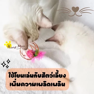 HM-ลูกบอลของเล่น ของเล่นแมว ลูกบอลหนูสำหรับแมว WQ-5