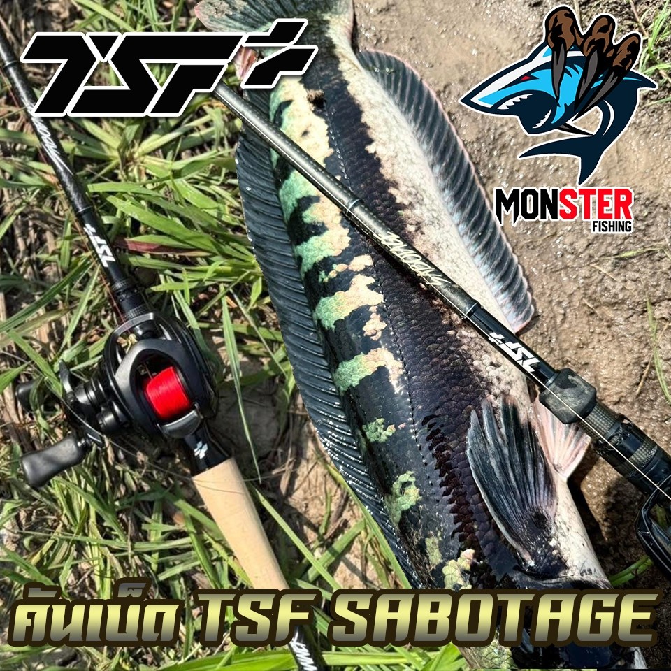 คันเบ็ดตกปลา คันตีเหยื่อปลอม TSF รุ่น SABOTAGE by THAI STREET FISHING (คันเบท แบบ 1 ท่อน) - รูปที่ 5