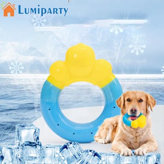 Lumiparty ของเล่นทําความสะอาดฟัน ทนต่อการกัด สําหรับสัตว์เลี้ยง