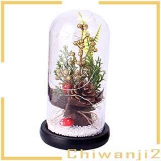 [Chiwanji2] ฝาครอบแก้วไฟ LED สําหรับตกแต่งห้องนั่งเล่น ปาร์ตี้คริสต์มาส