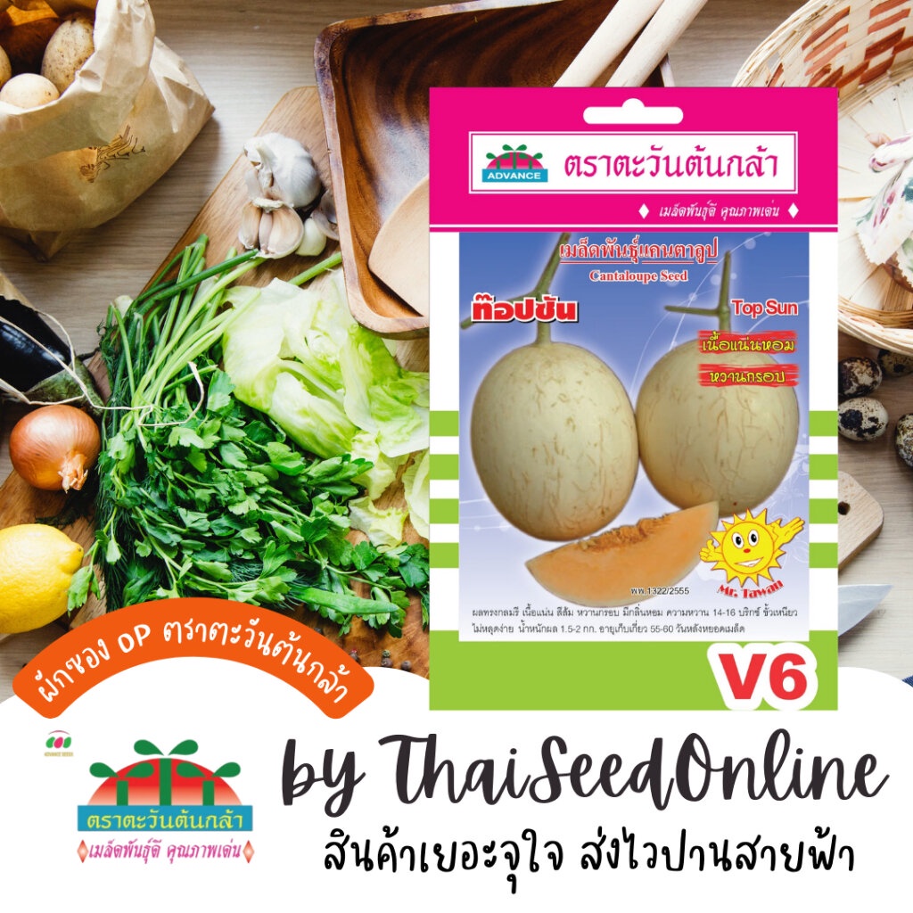 ADVOP ซฟ เมล็ดพันธุ์ แคนตาลูปท็อปซัน ตราตะวันต้นกล้า V6