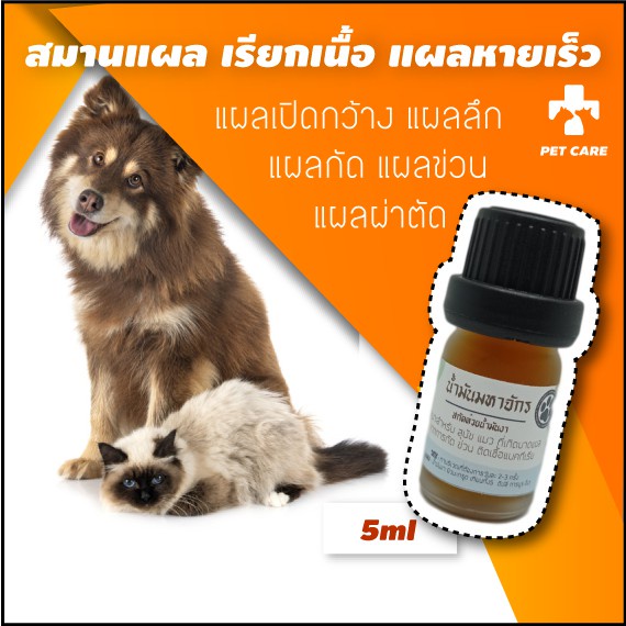 ทาแผลหมาแมว น้ำมันเรียกเนื้อสมานแผลสัตว์เลี้ยง ใช้ได้ทั้งสุนัขและแมว 5ml