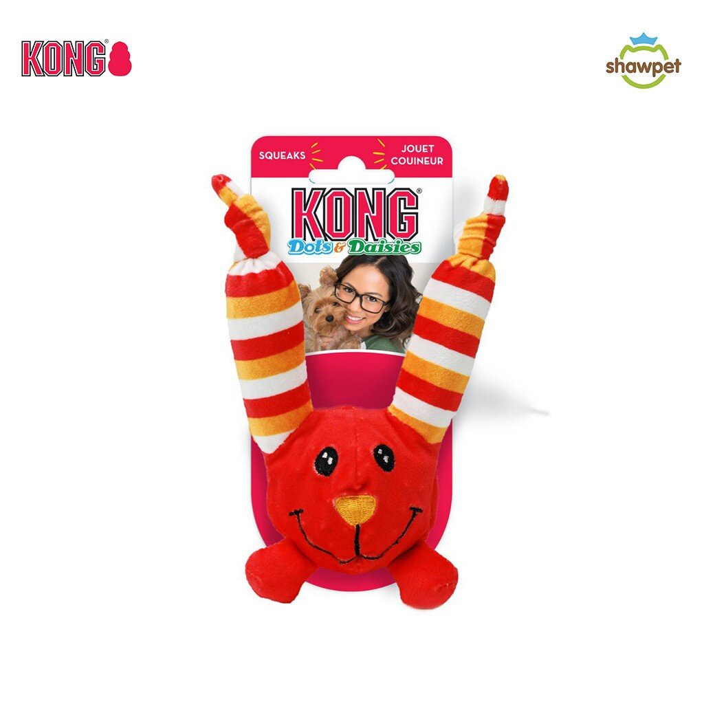 KONG ของเล่นสุนัข Dots & Daisies Long Ears ตุ๊กตาที่มีลักษณะหูยาว DTDA64 ขนาด XS