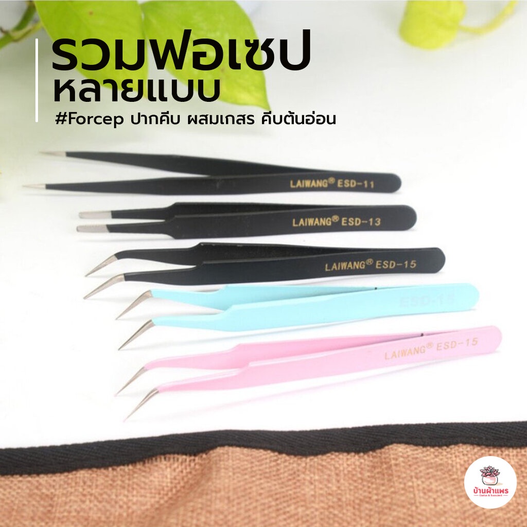 รวมฟอเซปหลายแบบ Forcep ปากคีบ ผสมเกสร คีบต้นอ่อน อุปกรณ์ช่วยปลูกต้นไม้ แคคตัส กระบองเพชร cactus&succulent