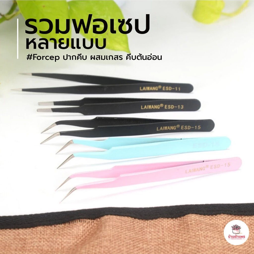 รวมฟอเซปหลายแบบ Forcep ปากคีบ ผสมเกสร คีบต้นอ่อน อุปกรณ์ช่วยปลูกต้นไม้ แคคตัส กระบองเพชร cactus&succulent