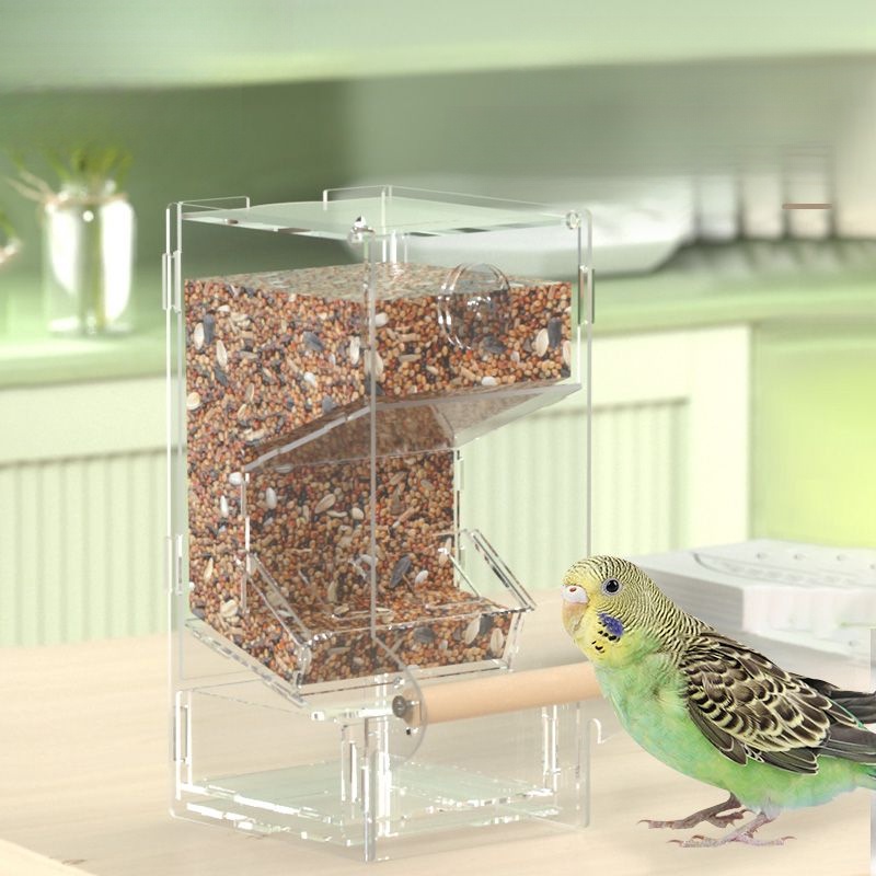 กล่องให้อาหารนกแก้ว อัตโนมัติ ป้องกันการกระเด็น สําหรับนกฟินิกซ์ นกโบตั๋น