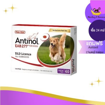 Antinol แอนทินอล อาหารเสริมไขมัน บำรุงข้อสำหรับสุนัข EXP 05/2025
