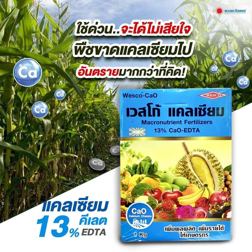 เวสโก้ แคลเซียม9% EDTA ขนาด 1kg (เวสโก้) #แอลเจอะโกร