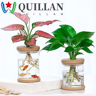 Quillan แก้วเทียมใส ขนาดเล็ก สําหรับตกแต่งบ้าน สวน ในร่ม กลางแจ้ง 1 ชิ้น