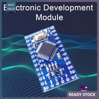 Rga บอร์ดไมโครคอนโทรลเลอร์ วงจรอะแดปเตอร์ ตั้งโปรแกรมง่าย Atmega168 Avr พร้อมอินเตอร์เฟซ Uart 16mhz สําหรับตะวันออกเฉียงใต้