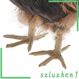 [Szluzhen1] โมเดลขนนก ขนาดใหญ่ สําหรับตกแต่งบ้าน ออฟฟิศ สวน ฟาร์ม