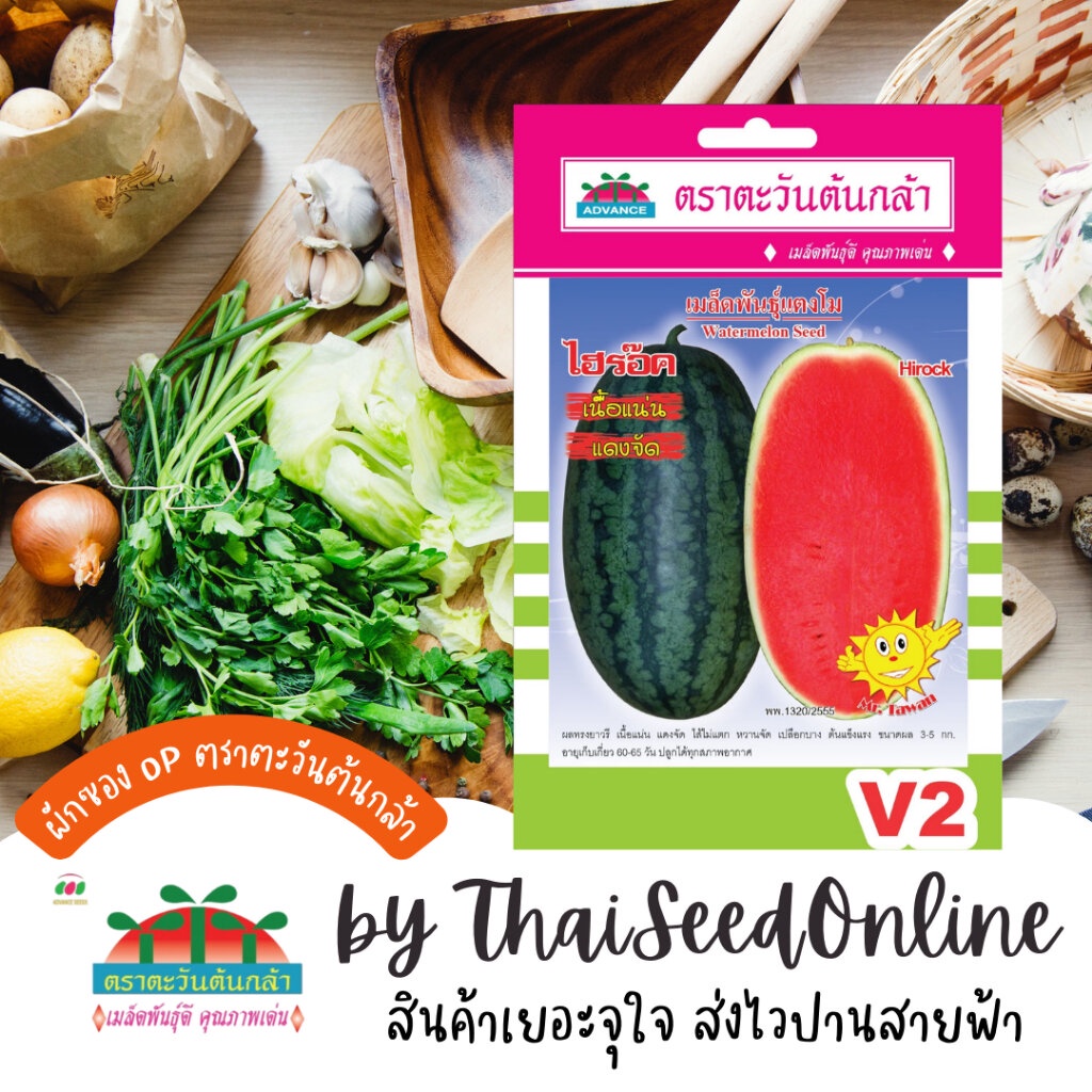 ADVOP ซฟ เมล็ดพันธุ์ แตงโมไฮร๊อค แตงโมทรงตอปิโด ตราตะวันต้นกล้า V2