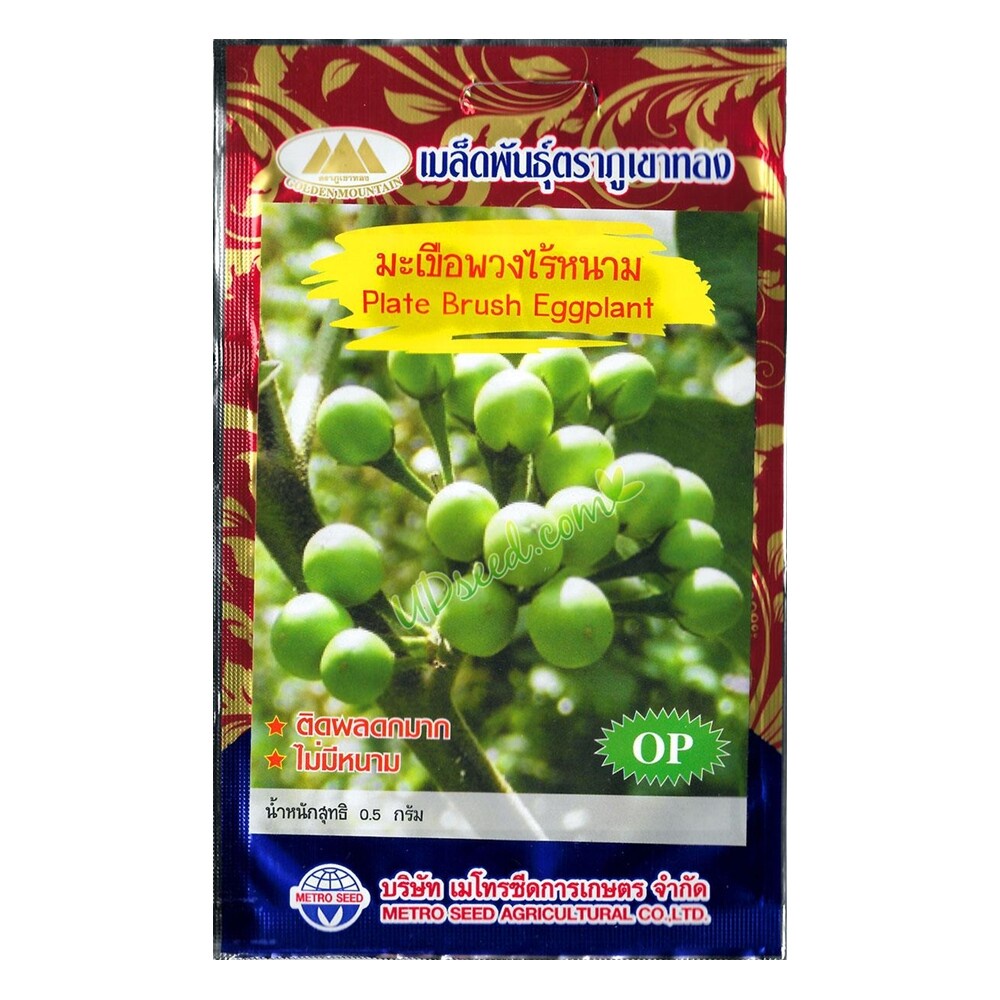 เมล็ดมะเขือพวงไร้หนาม Plate Brush Eggplant MT/OP-106 เมล็ดพันธุ์มะเขือพวง เมล็ดมะเขือ เมล็ดพันธุ์