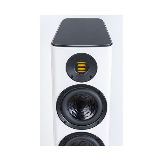 ✅ PQ Elac Vela FS-407 Floor Standing Speakers ✅