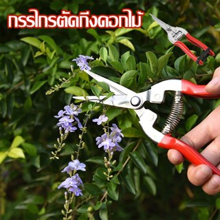 【COD】กรรไกรตัดกิ่งดอกไม้ กรรไกรตัดกิ่งปลายแหลม ตัดเก็บผลไม้จ…