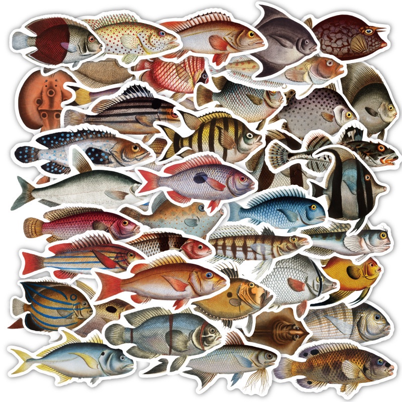 ❉ สติกเกอร์ Abyssal Fishes Series 01 สําหรับตกแต่ง ❉ สติกเกอร์แฟชั่น กันน้ํา DIY 50 ชิ้น/เซต