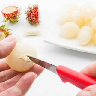 มีดคว้านแกะสลัก (ด้ามแดง) ที่คว้านเมล็ด ปลอกผลไม้ #B-0055