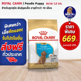 ROYAL CANIN Poodle (PUPPY) ลูกสุนัขช่วง 2 12เดือน พันธุ์พูเดิ้ล 1.50กิโลกรัม